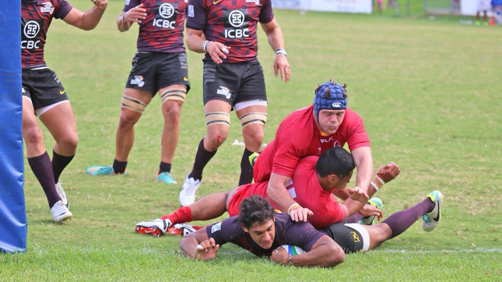 PAMPAS XV, EN LO M�S ALTO