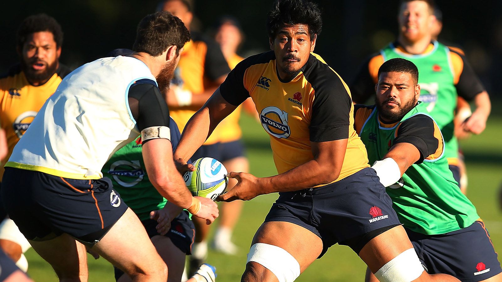 WARATAHS, POR EL T�TULO