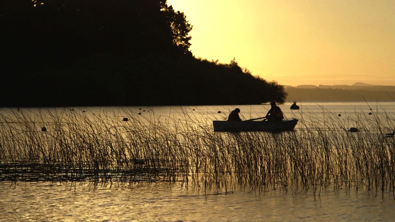 Capitales del F�tbol: Chile