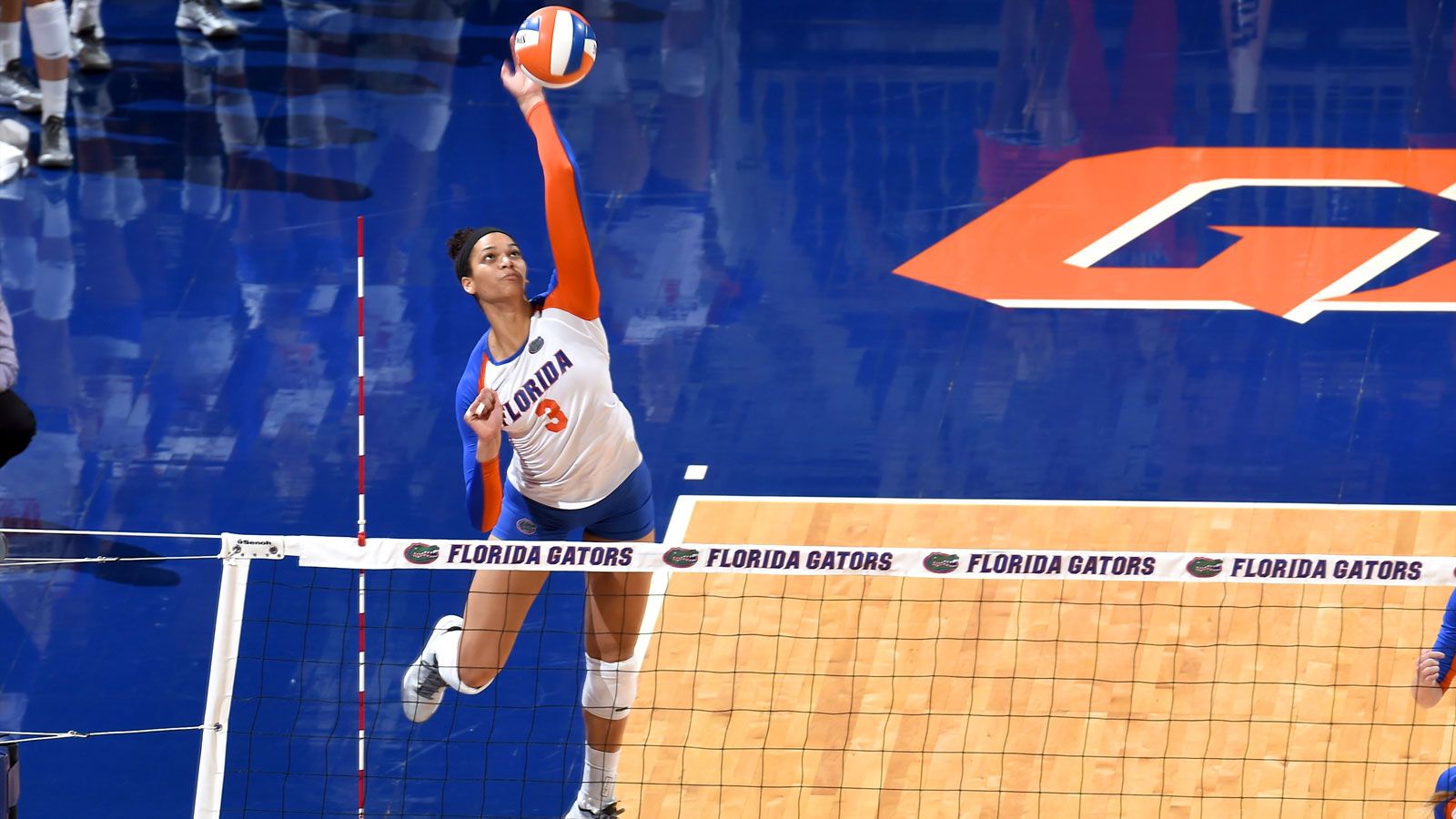 2014 SEC Volleyball Awards