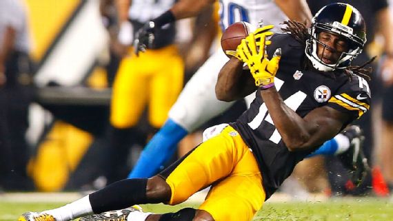 steelers, steelers lions preseason, sammie coates