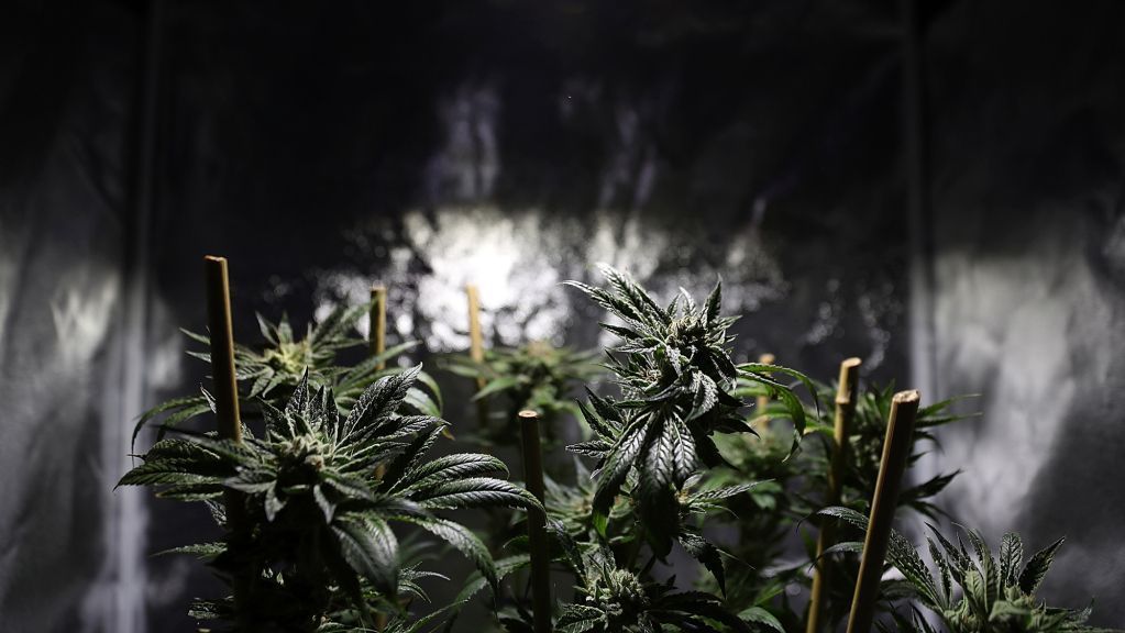 Goodell against pot use; 'may not be healthy'