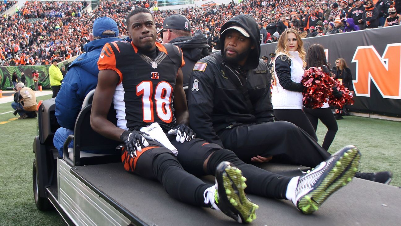 AJ Green says he has Grade II hamstring tear, plans to return in 2016 if cleared - ESPN