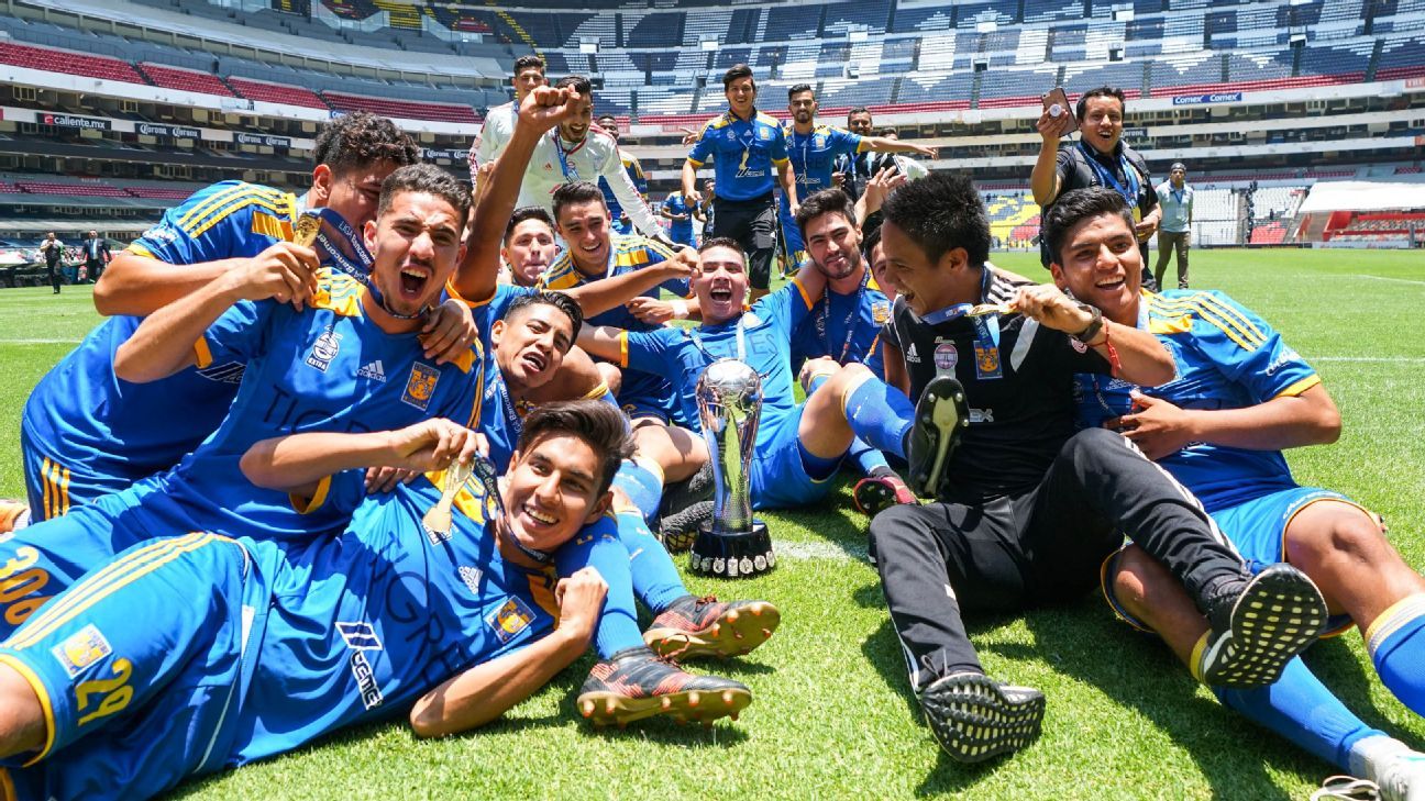 Tigres jugará Copa MX con juveniles, asegura Miguel Ángel Garza
