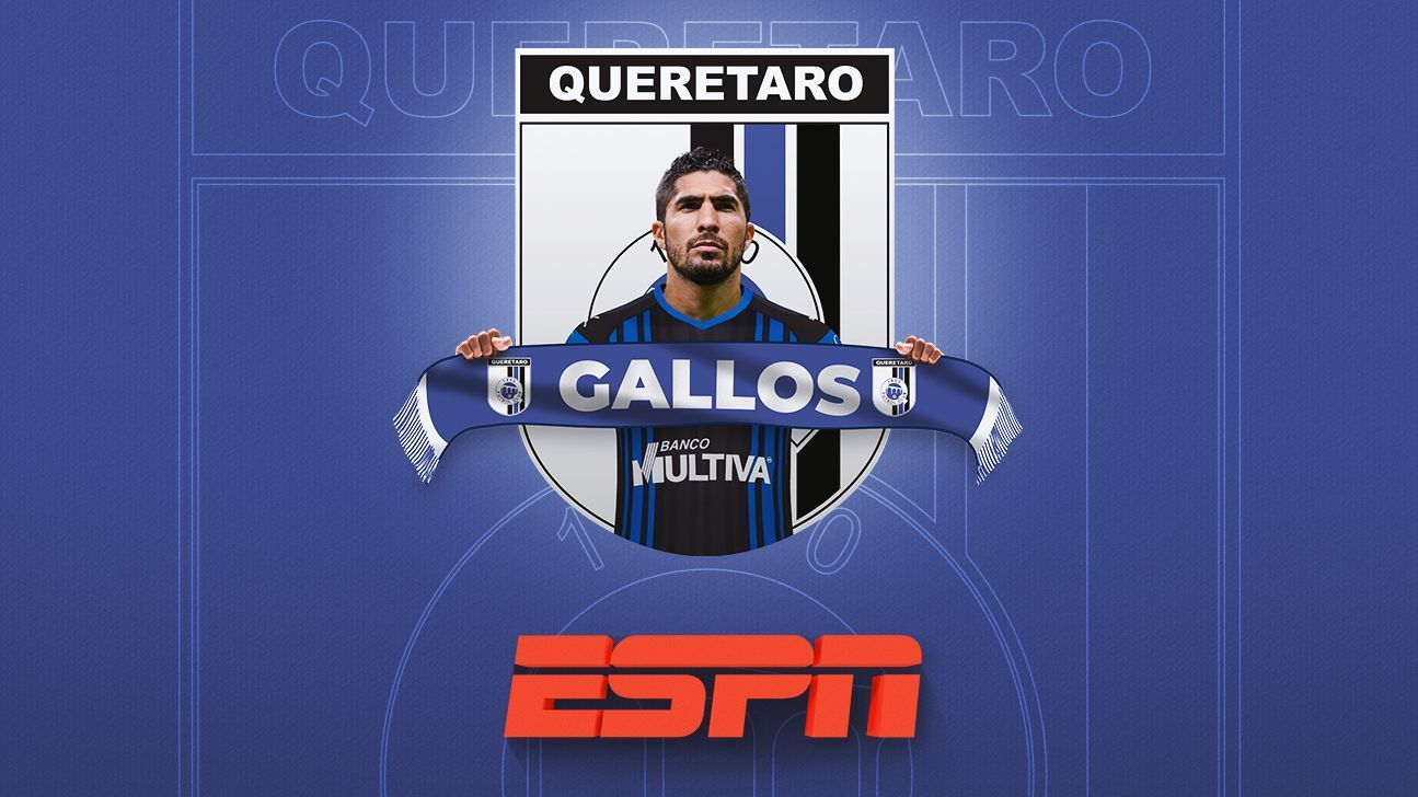 Radiografía de Gallos rumbo al Apertura 2019 de la Liga MX