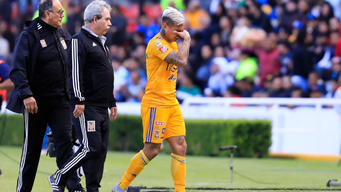 Eduardo Vargas will be sidelined for 15 days at Tigres due to an injury.