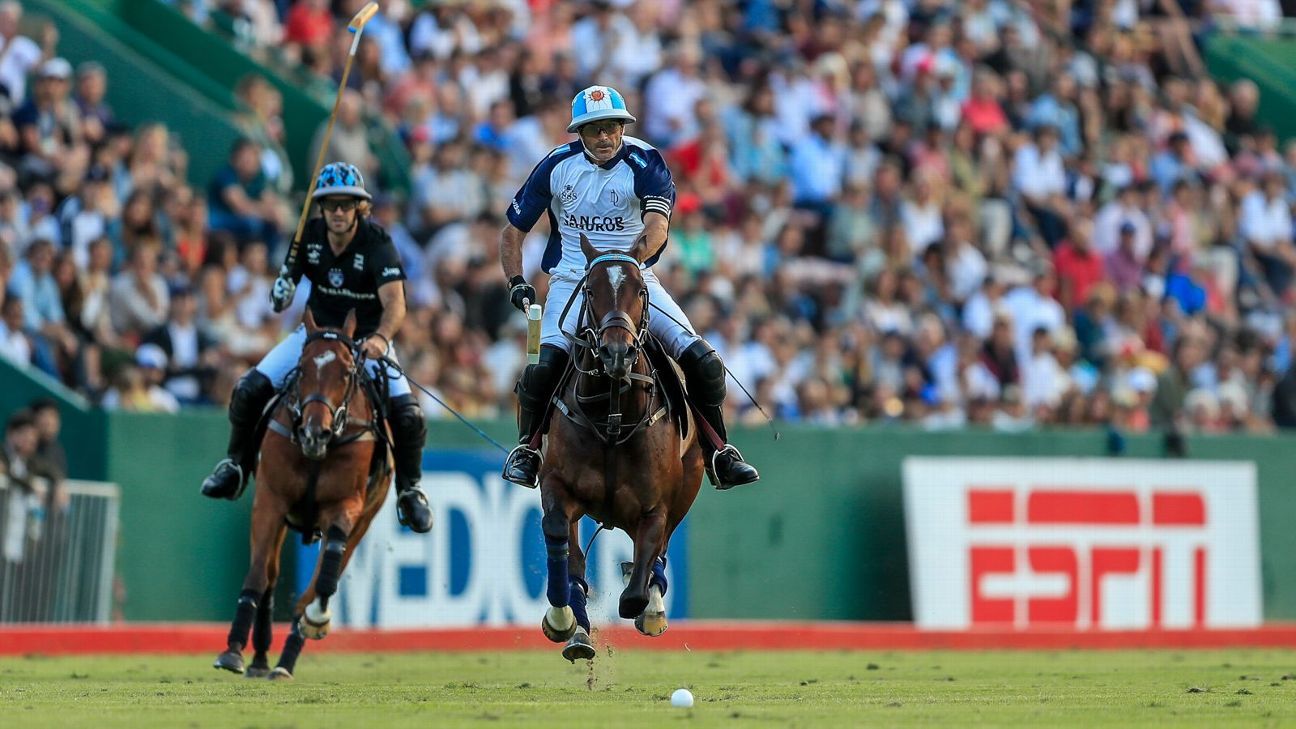 LA DOLFINA 16 - 13 ELLERSTINA