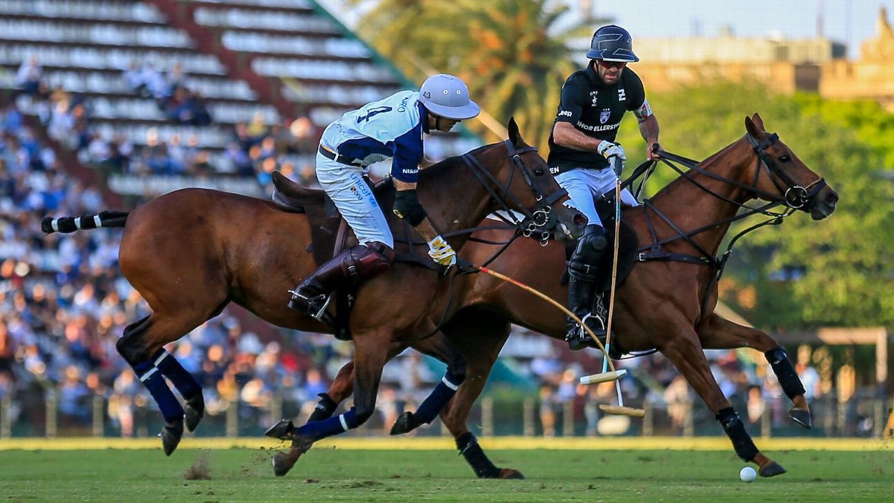 LA DOLFINA 16 - 13 ELLERSTINA