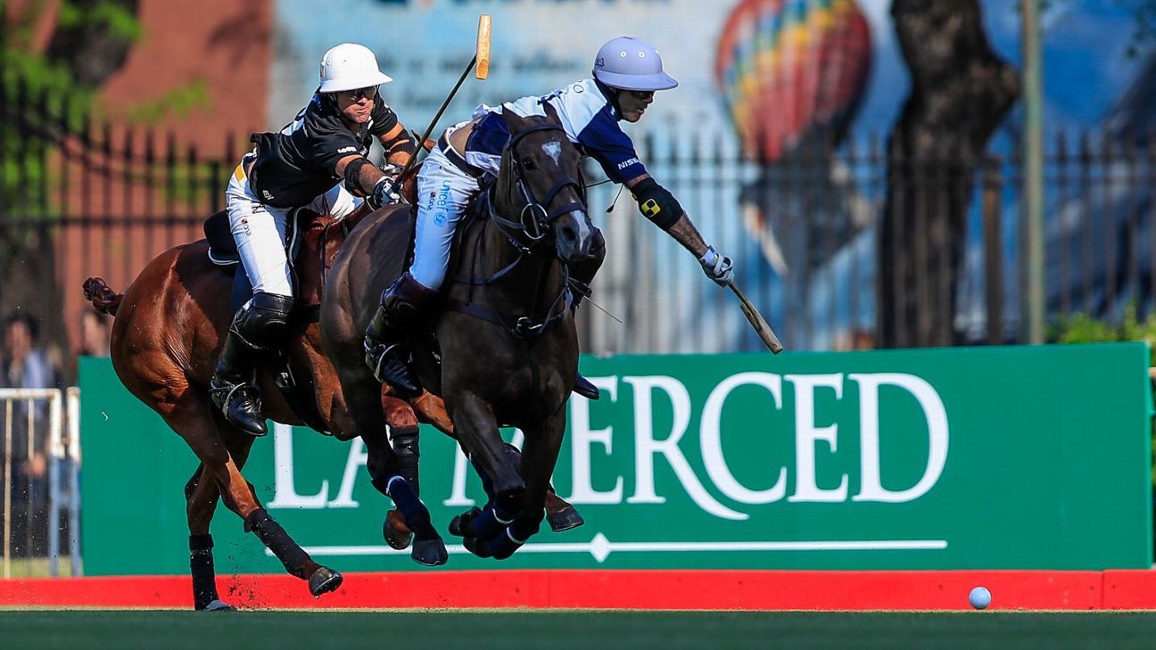 LA DOLFINA 16 - 13 ELLERSTINA