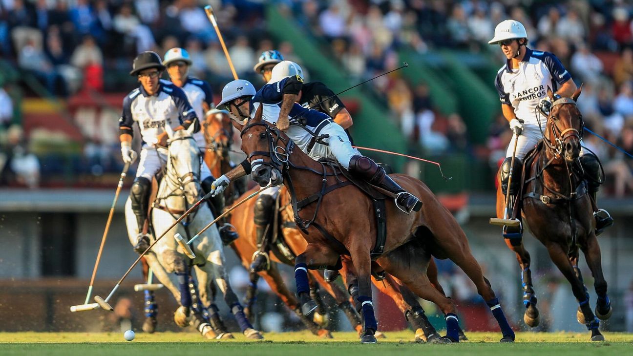 LA DOLFINA 16 - 13 ELLERSTINA