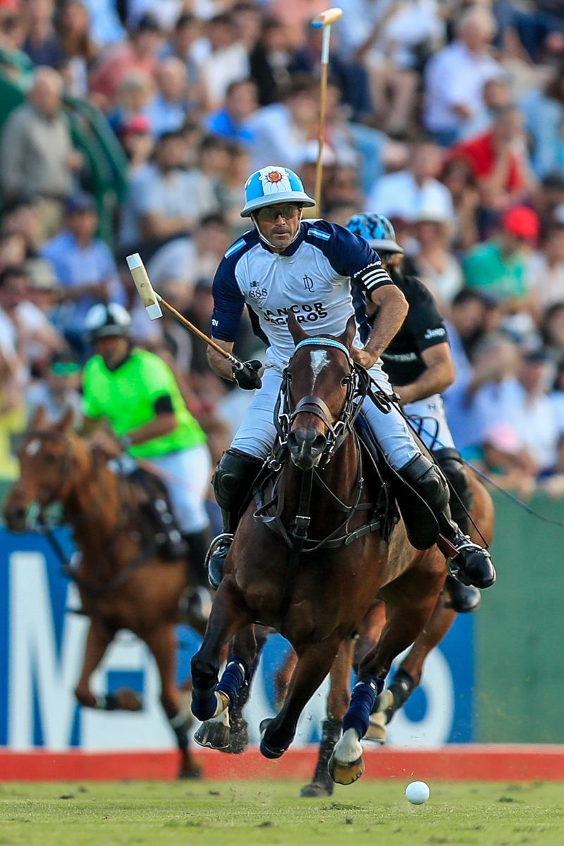 LA DOLFINA 16 - 13 ELLERSTINA