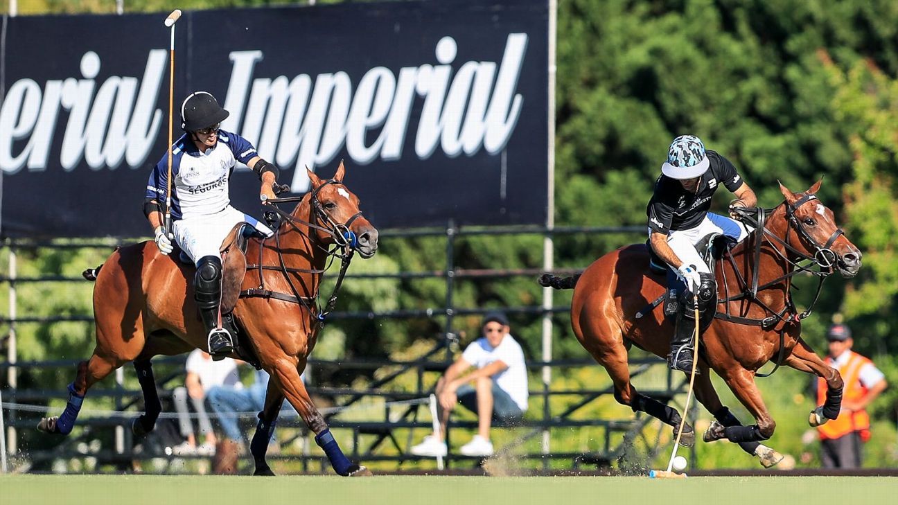 ELLERSTINA 12  11 LA DOLFINA