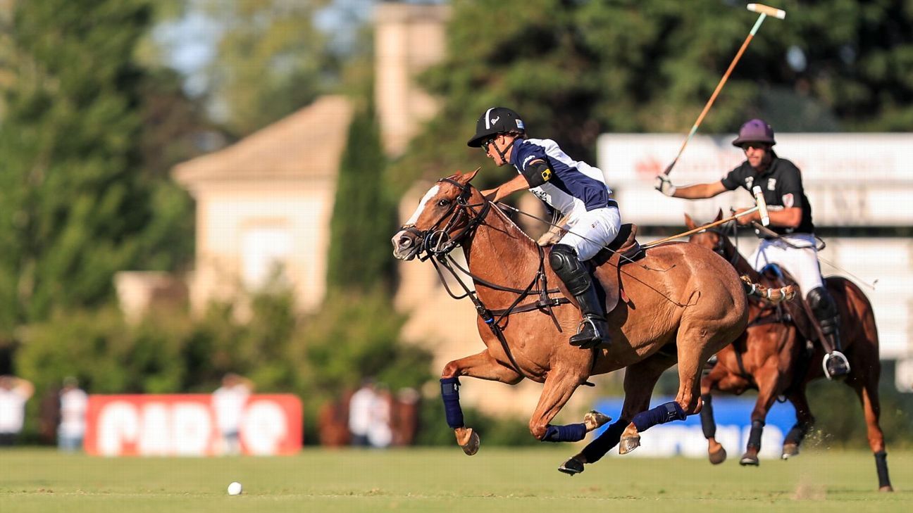 ELLERSTINA 12 - 11 LA DOLFINA