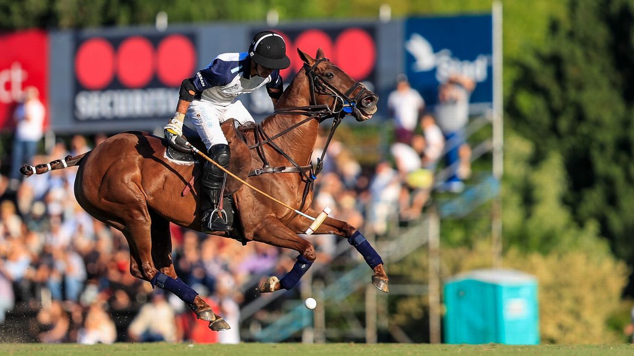 ELLERSTINA 12  11 LA DOLFINA