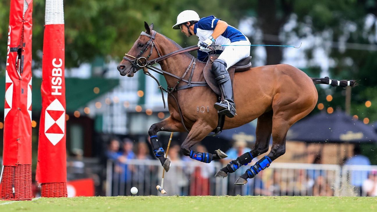 LA DOLFINA 16 - 12 ELLERSTINA