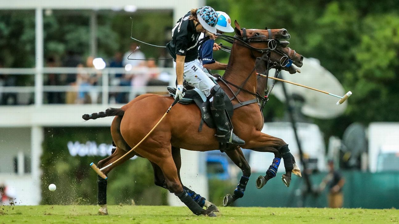 LA DOLFINA 16 - 12 ELLERSTINA