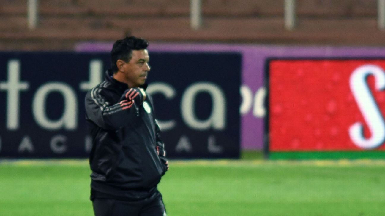 Marcelo Gallardo: 
