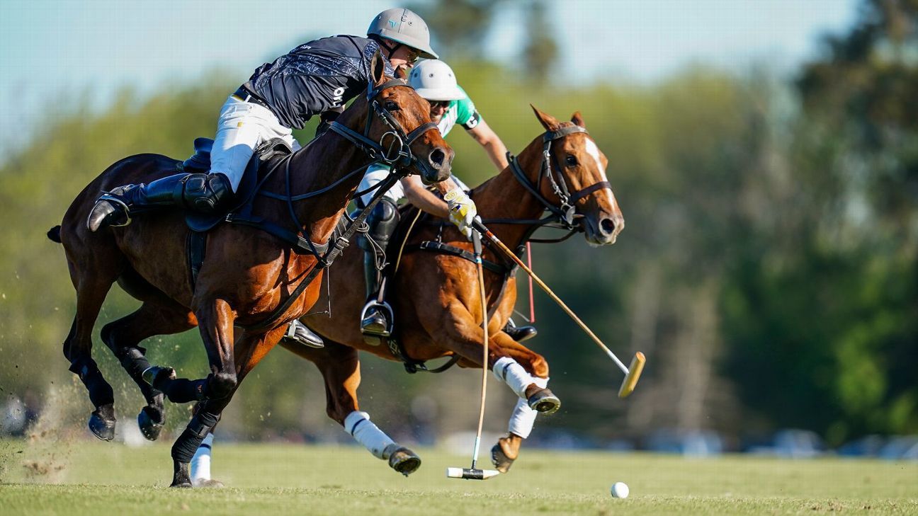 LA ENSENADA 12 - 10 LA NATIVIDAD