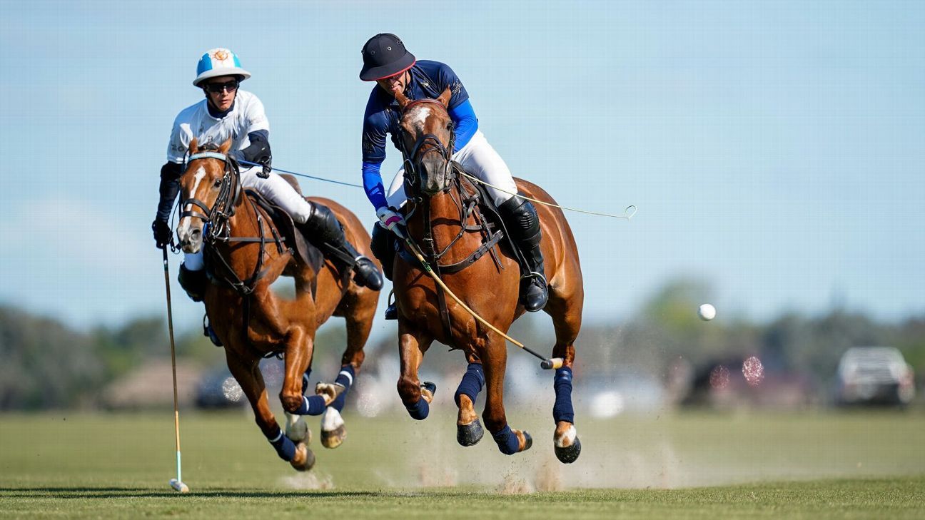 LA DOLFINA 15 - 8 LA DOLFINA BRAVA