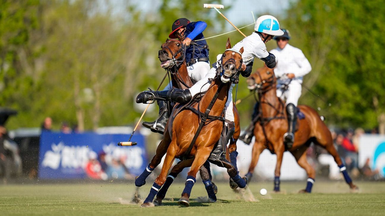 LA DOLFINA 15 - 8 LA DOLFINA BRAVA