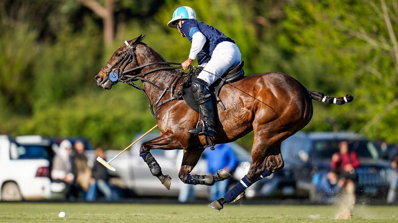 LA DOLFINA 15 - 8 LA DOLFINA BRAVA