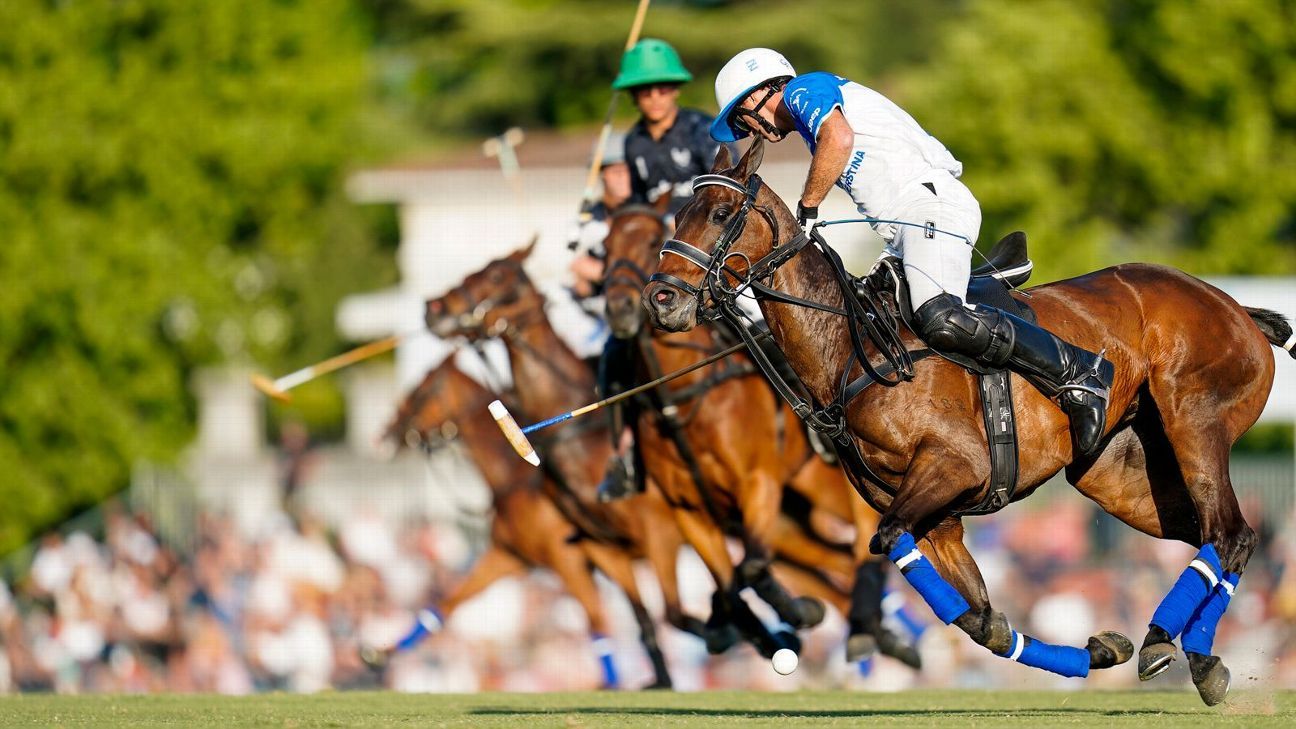 ELLERSTINA 12 - 8 LA ENSENADA