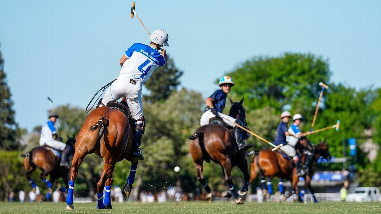 ELLERSTINA 11 - 9 LA DOLFINA