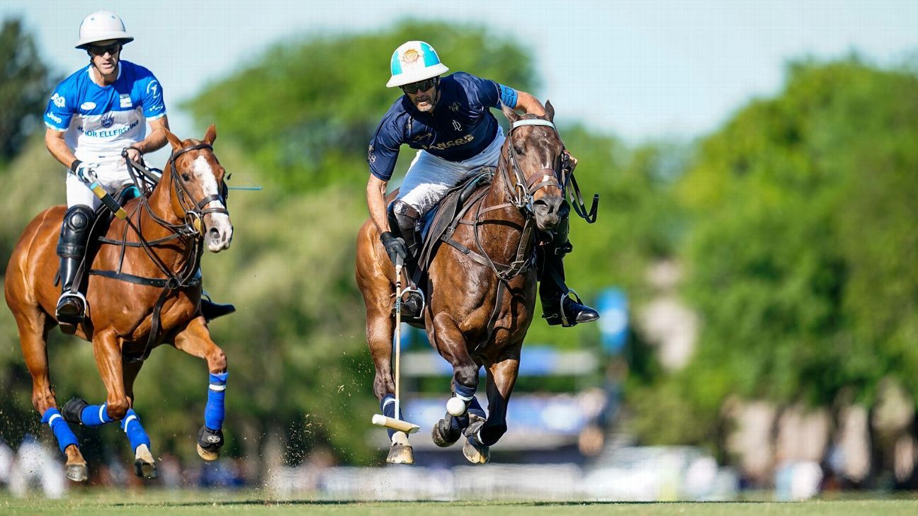 ELLERSTINA 11 - 9 LA DOLFINA