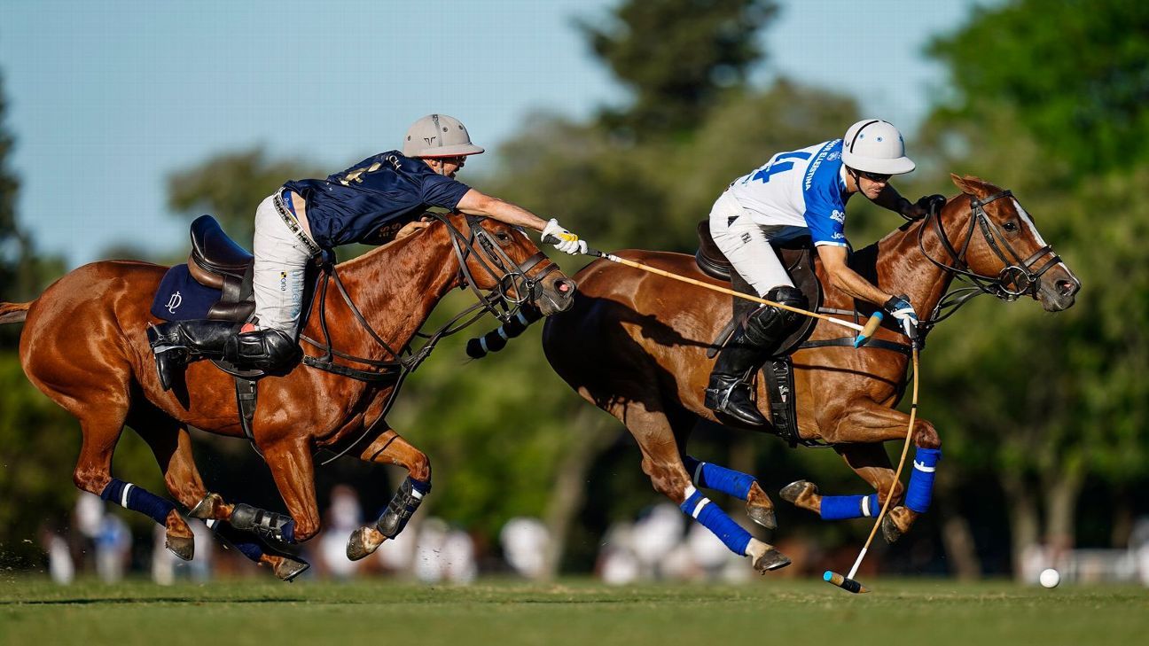 ELLERSTINA 11 - 9 LA DOLFINA