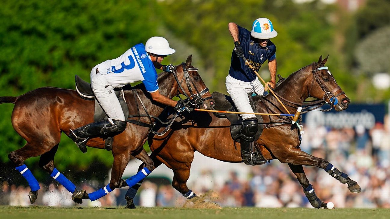 ELLERSTINA 11 - 9 LA DOLFINA