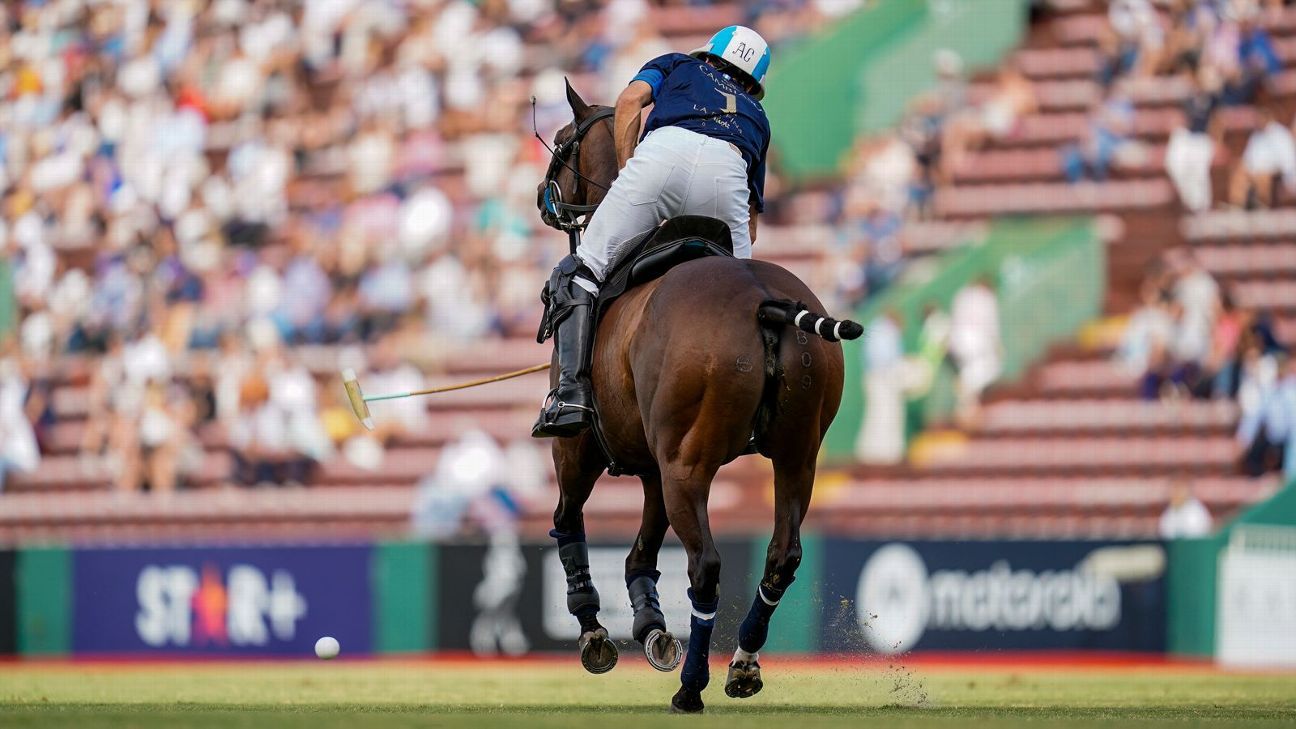 LA DOLFINA 16 - 14 ELLERSTINA