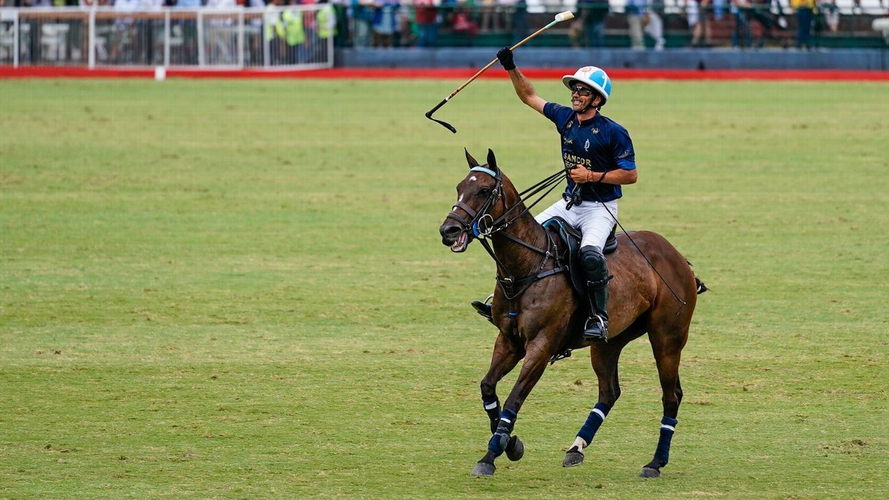 LA DOLFINA 16 - 14 ELLERSTINA