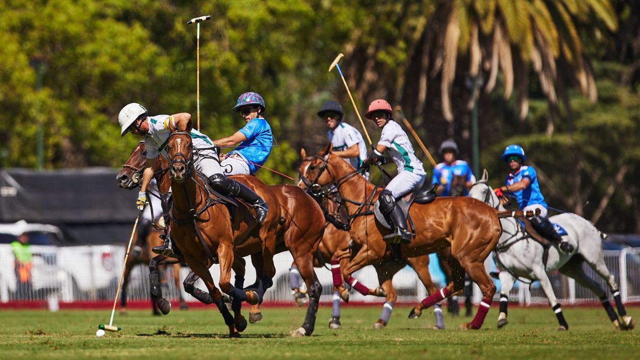 LA ENSENADA RS MURUS SANCTUS 19 v 12 LA HACHE