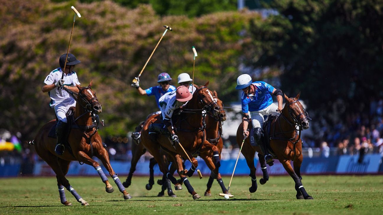 LA ENSENADA RS MURUS SANCTUS 19 v 12 LA HACHE