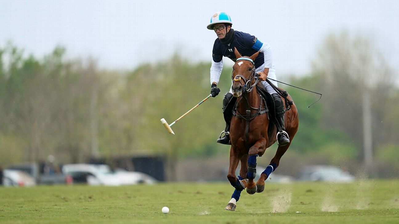 LA DOLFINA 22 v 5 LA IRENITA