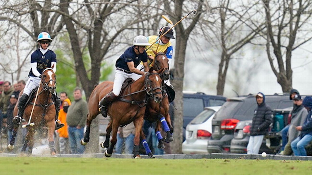 LA DOLFINA 22 v 5 LA IRENITA