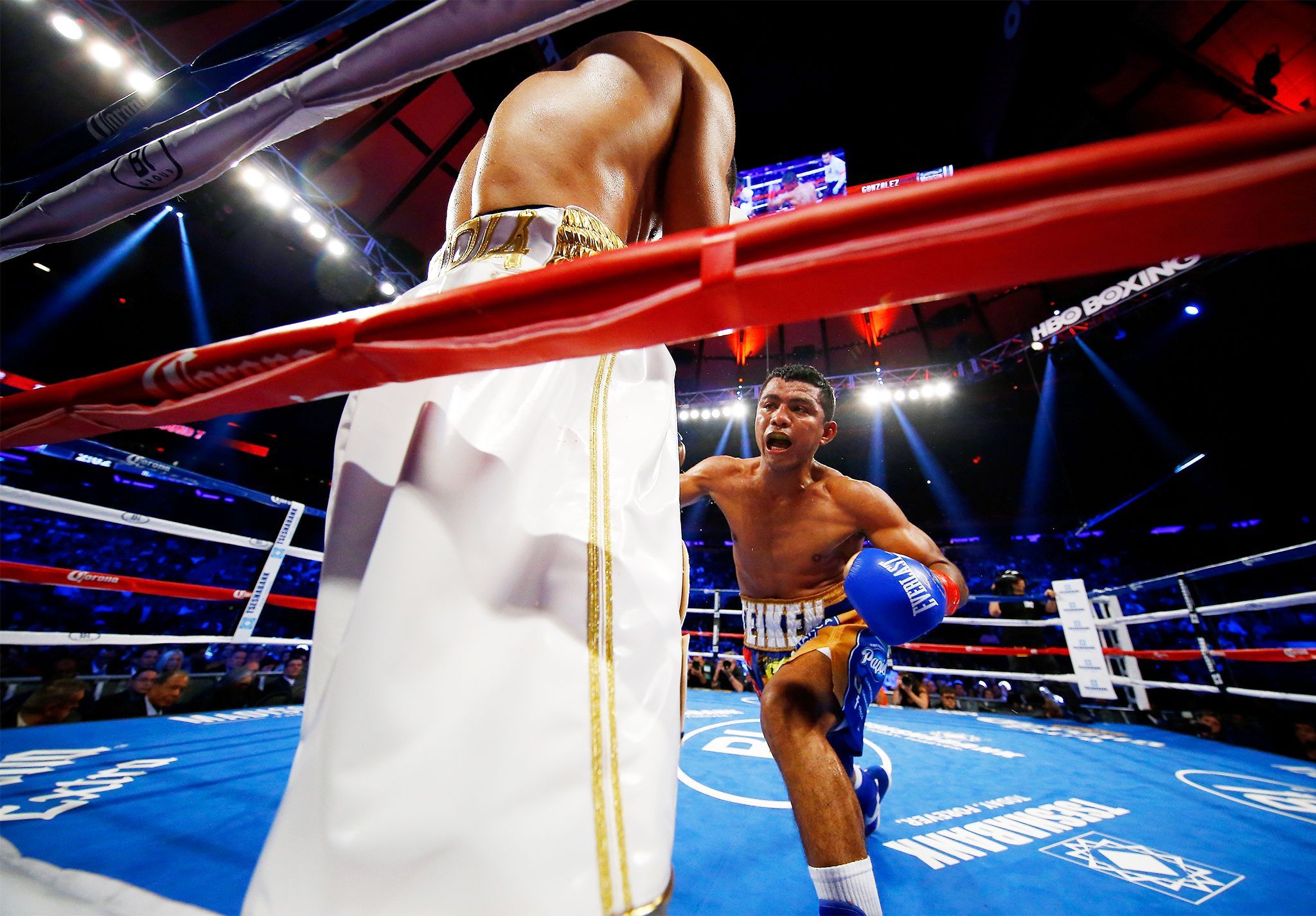 Roman Gonzalez, Brian Viiloria