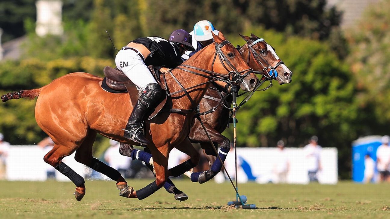 LA DOLFINA 11  ELLERSTINA 9