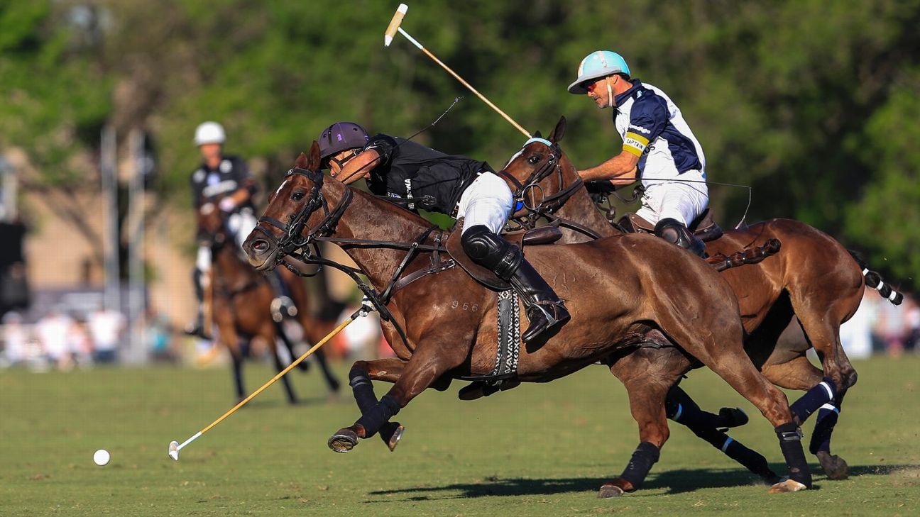 LA DOLFINA 11 - ELLERSTINA 9