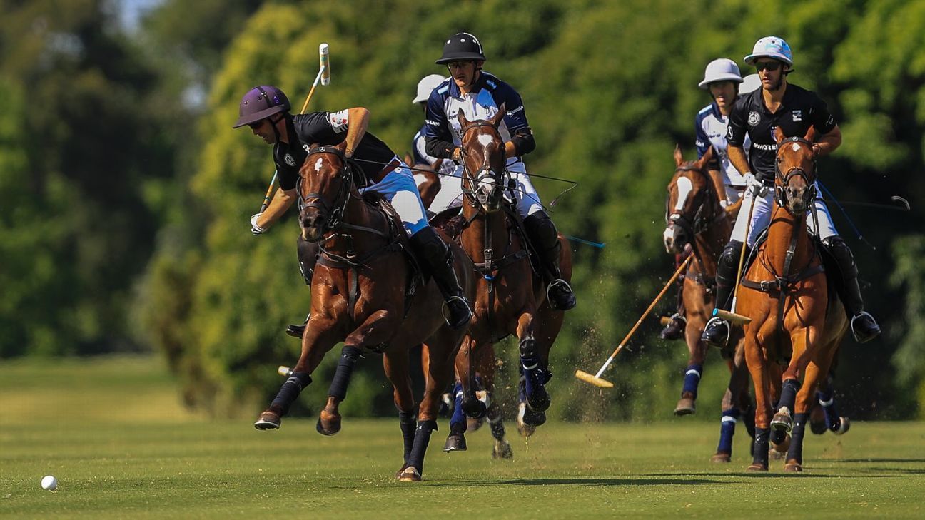 ELLERSTINA 12  LA DOLFINA 11