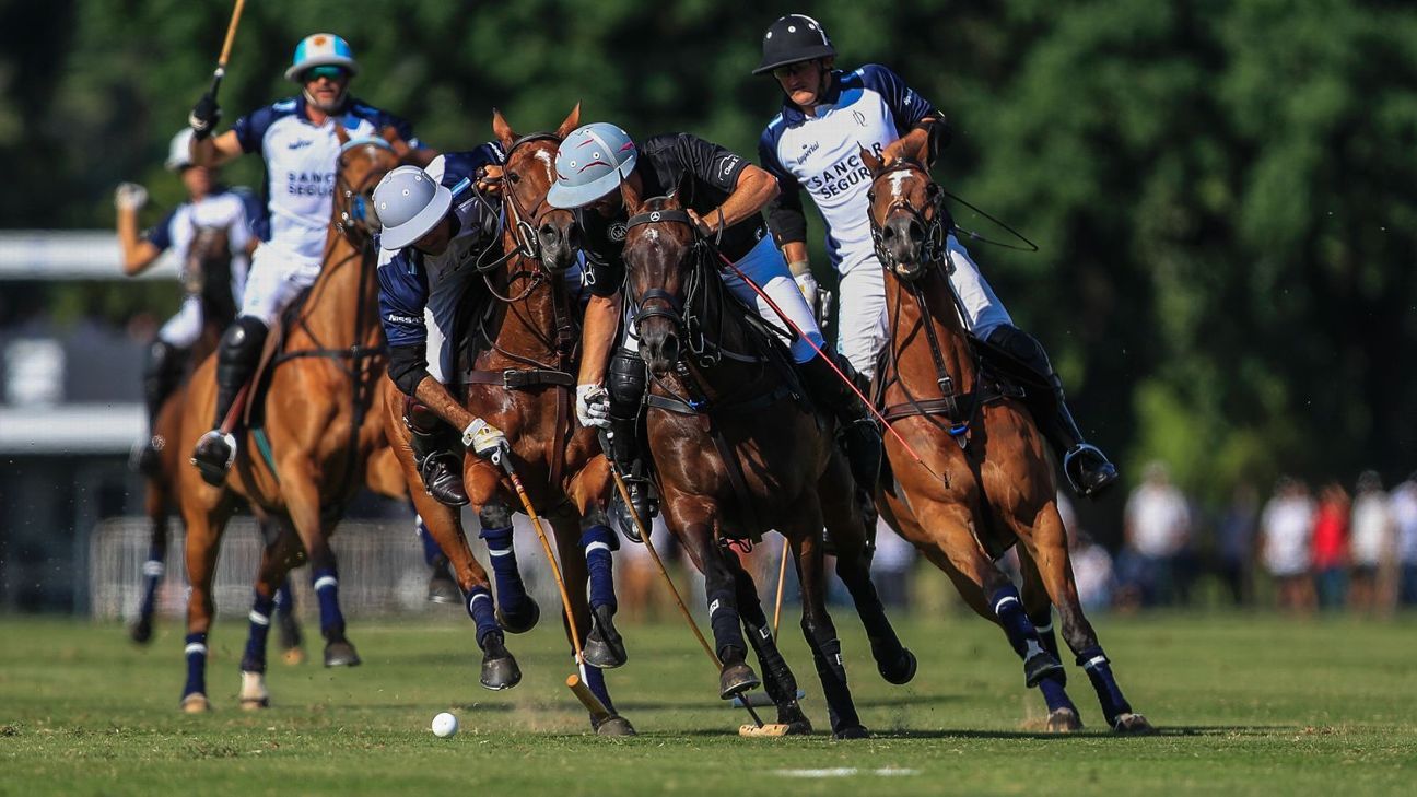 ELLERSTINA 12  LA DOLFINA 11