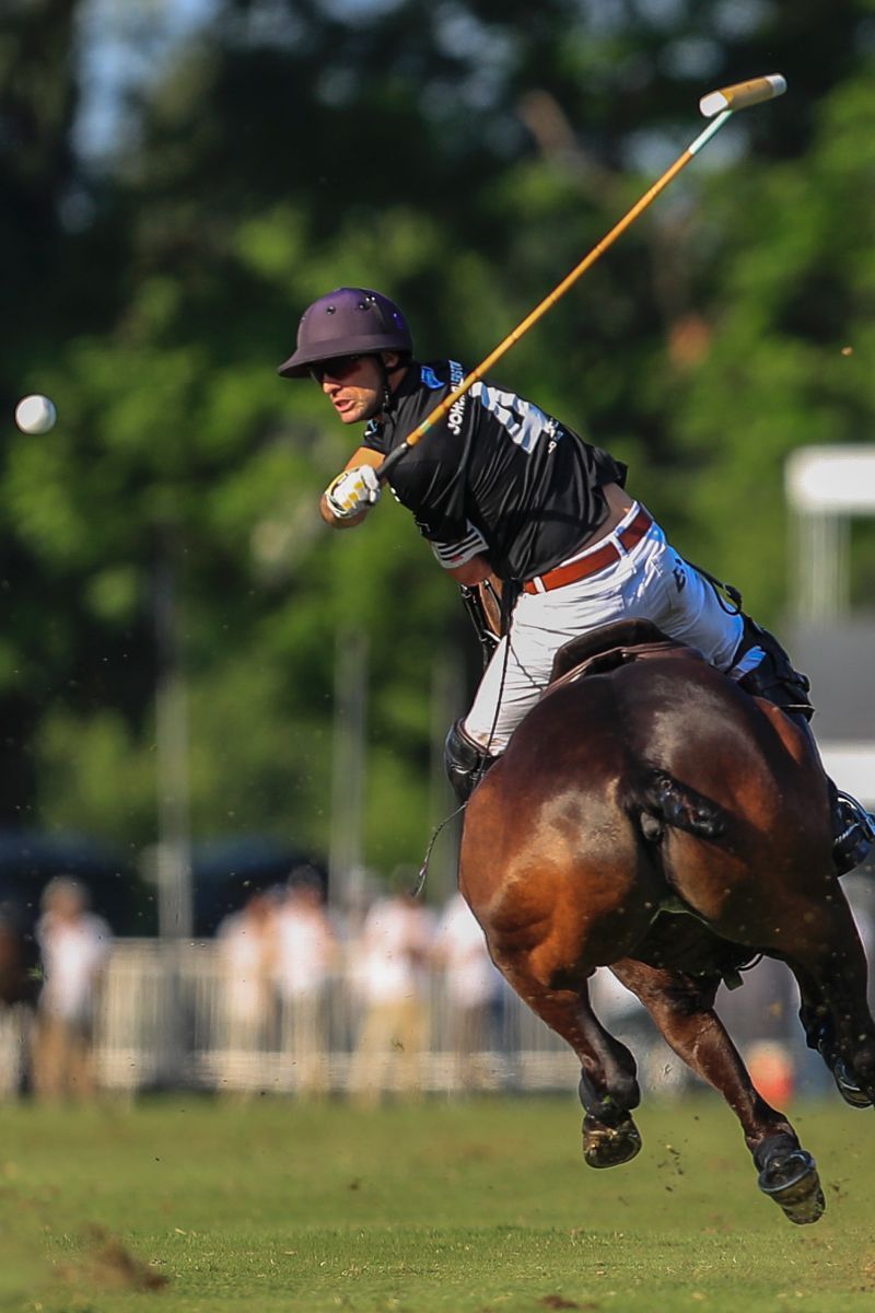 ELLERSTINA 12  LA DOLFINA 11
