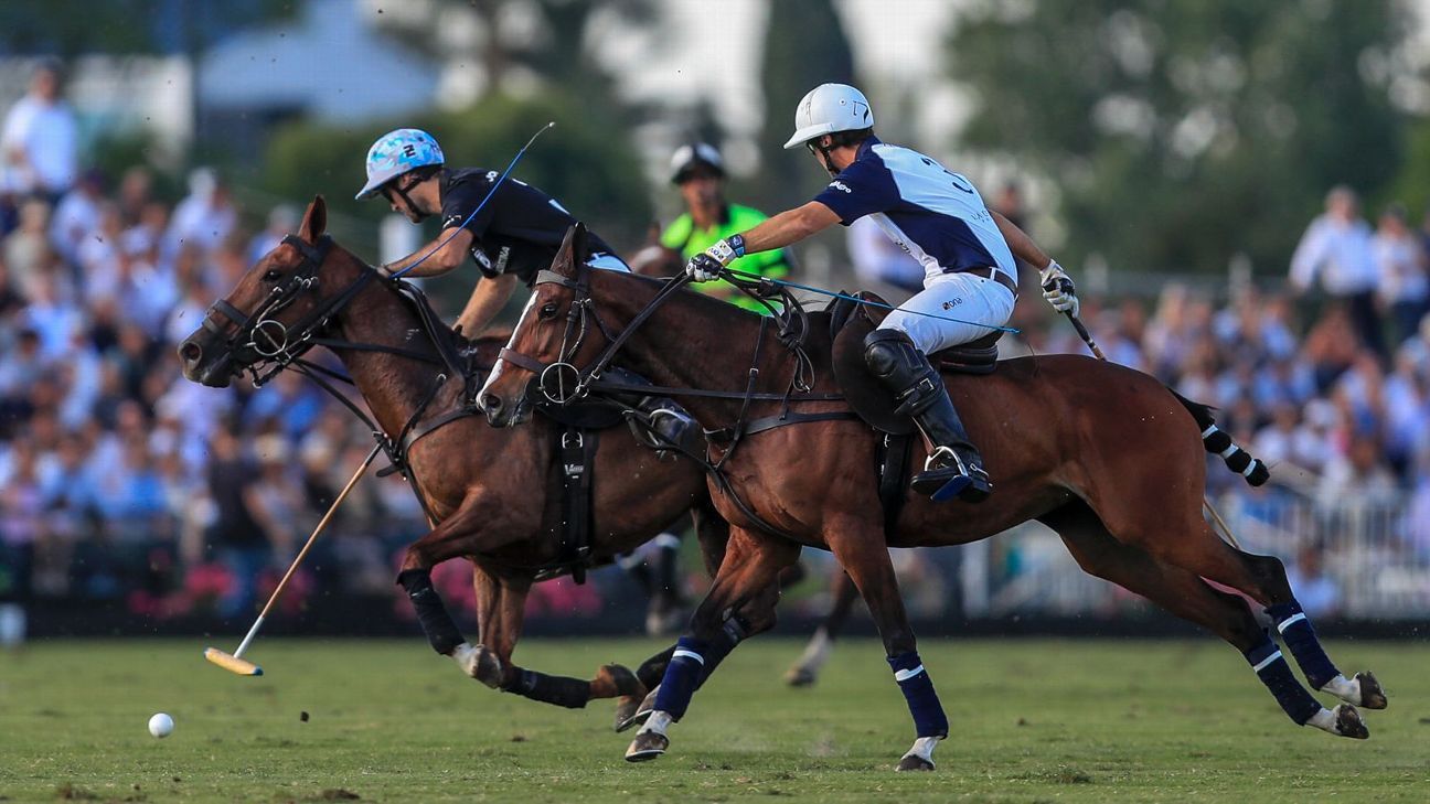 ELLERSTINA 12  LA DOLFINA 11