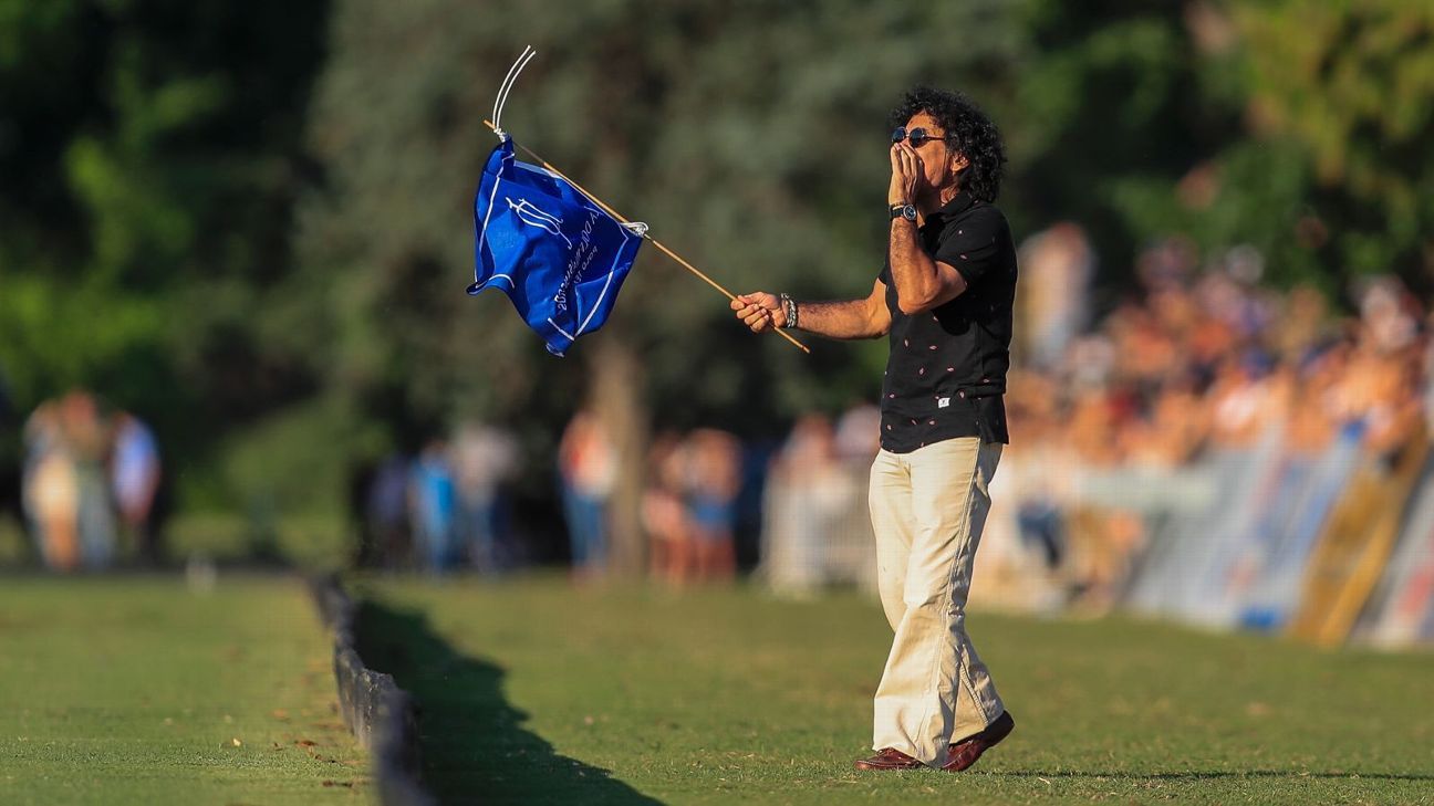 ELLERSTINA 12  LA DOLFINA 11