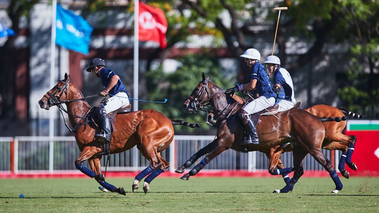 LA DOLFINA SANCOR SEGUROS 15  11 LA DOLFINA POLO RANCH