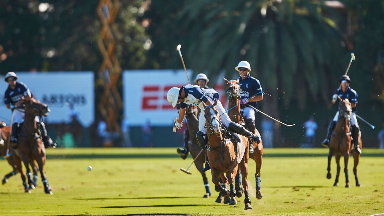 LA DOLFINA SANCOR SEGUROS 15  11 LA DOLFINA POLO RANCH+