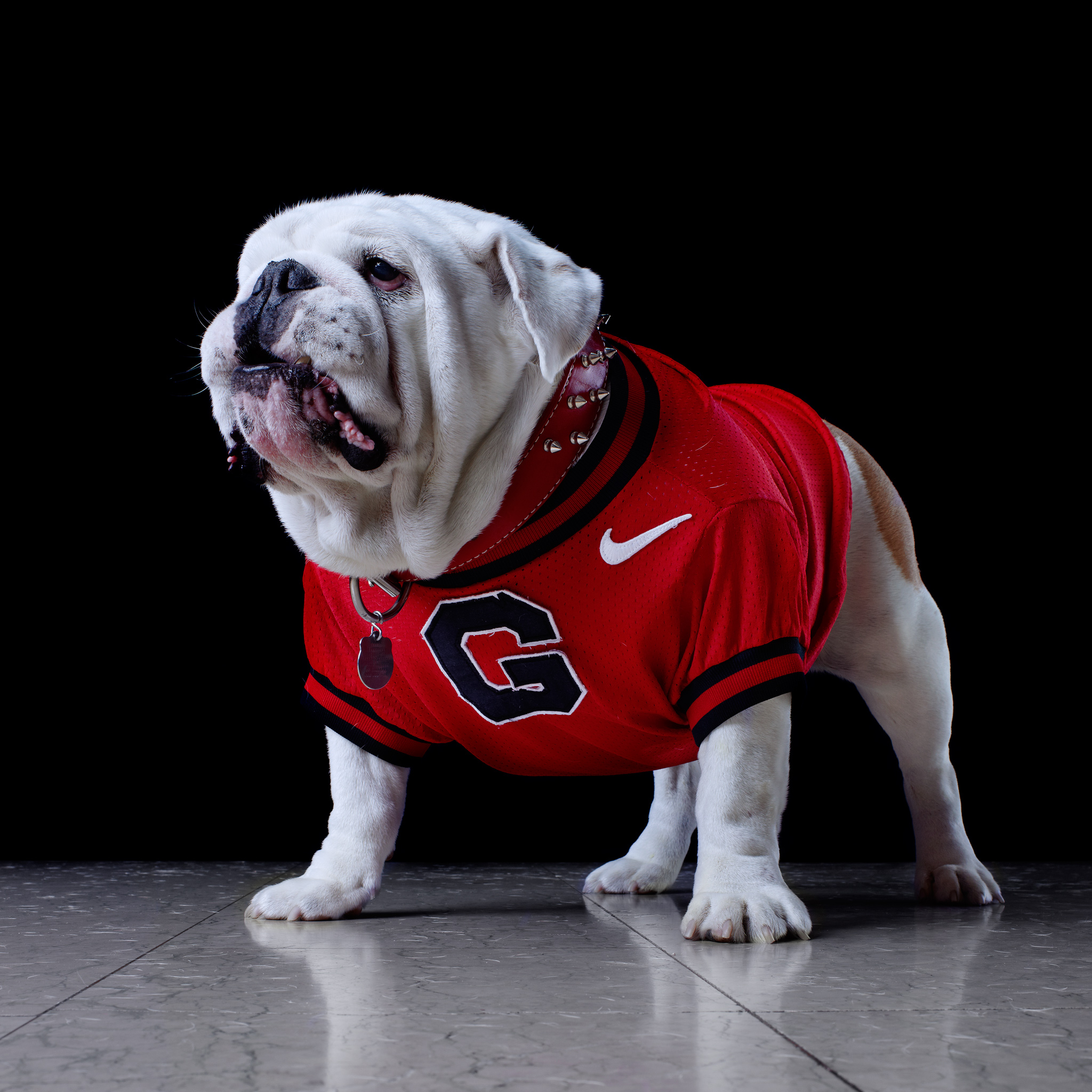 UGA's STANDIN (RUSS) Mascots of the Southeastern Conference ESPN