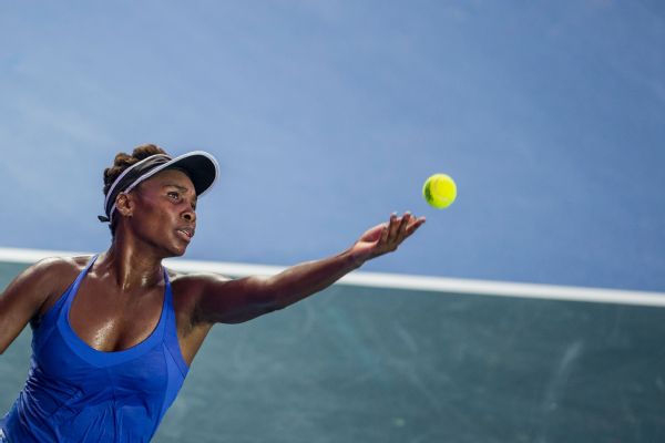 essay on venus williams