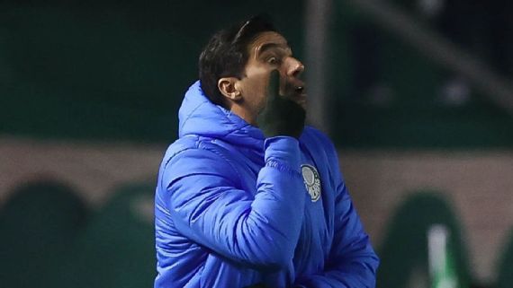 Abel diz que o Botafogo pode surpreender no Campeonato Brasileiro