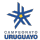 Liga AUF Uruguaya